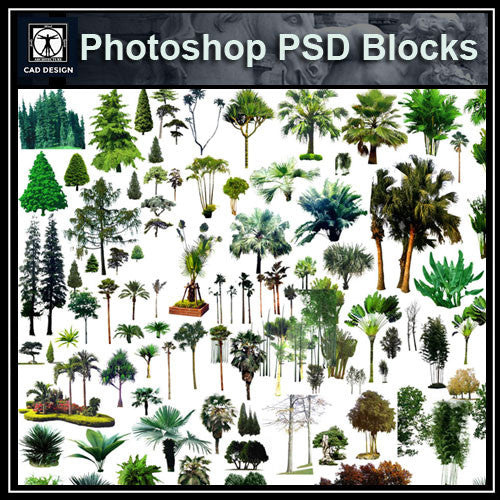 Photoshop PSD Tree Blocks 3 - CAD Design | Download CAD Drawings | AutoCAD Blocks | AutoCAD Symbols | CAD Drawings | Architecture Details│Landscape Details | See more about AutoCAD, Cad Drawing and Architecture Details