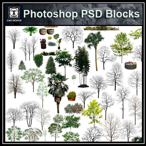 Photoshop PSD Landscape Tree 10 - CAD Design | Download CAD Drawings | AutoCAD Blocks | AutoCAD Symbols | CAD Drawings | Architecture Details│Landscape Details | See more about AutoCAD, Cad Drawing and Architecture Details