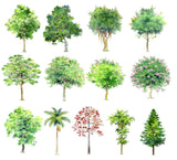 Hand-painted PSD Tree Blocks 1 - CAD Design | Download CAD Drawings | AutoCAD Blocks | AutoCAD Symbols | CAD Drawings | Architecture Details│Landscape Details | See more about AutoCAD, Cad Drawing and Architecture Details