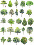 Hand-painted PSD Tree Blocks 2 - CAD Design | Download CAD Drawings | AutoCAD Blocks | AutoCAD Symbols | CAD Drawings | Architecture Details│Landscape Details | See more about AutoCAD, Cad Drawing and Architecture Details