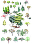 Hand-painted PSD Tree Blocks 1 - CAD Design | Download CAD Drawings | AutoCAD Blocks | AutoCAD Symbols | CAD Drawings | Architecture Details│Landscape Details | See more about AutoCAD, Cad Drawing and Architecture Details