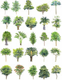 Hand-painted PSD Tree Blocks 2 - CAD Design | Download CAD Drawings | AutoCAD Blocks | AutoCAD Symbols | CAD Drawings | Architecture Details│Landscape Details | See more about AutoCAD, Cad Drawing and Architecture Details