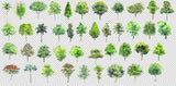 Hand-painted PSD Tree Blocks 3 - CAD Design | Download CAD Drawings | AutoCAD Blocks | AutoCAD Symbols | CAD Drawings | Architecture Details│Landscape Details | See more about AutoCAD, Cad Drawing and Architecture Details