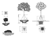 Tree plan details - CAD Design | Download CAD Drawings | AutoCAD Blocks | AutoCAD Symbols | CAD Drawings | Architecture Details│Landscape Details | See more about AutoCAD, Cad Drawing and Architecture Details