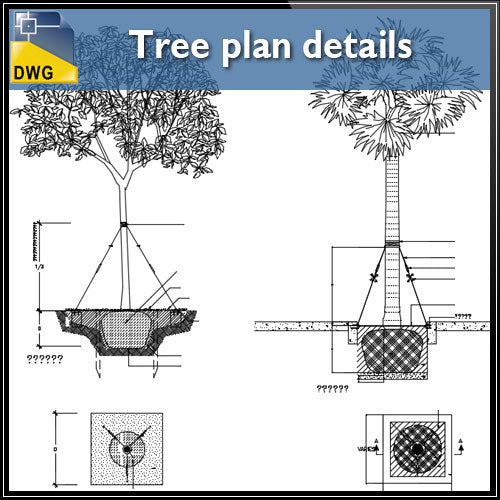 palm planting detail dwg Tree plan details | CAD Download – CAD Design