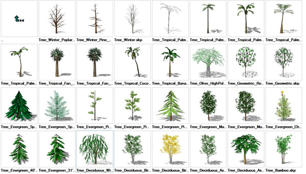 Sketchup Tree 3D models download - CAD Design | Download CAD Drawings | AutoCAD Blocks | AutoCAD Symbols | CAD Drawings | Architecture Details│Landscape Details | See more about AutoCAD, Cad Drawing and Architecture Details