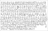 Sexy Women Blocks - CAD Design | Download CAD Drawings | AutoCAD Blocks | AutoCAD Symbols | CAD Drawings | Architecture Details│Landscape Details | See more about AutoCAD, Cad Drawing and Architecture Details
