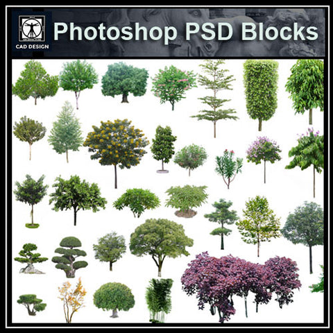 Tree PSD Blocks