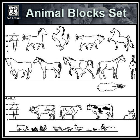 Free Animal Blocks