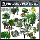 Photoshop PSD Tree Blocks 2 - CAD Design | Download CAD Drawings | AutoCAD Blocks | AutoCAD Symbols | CAD Drawings | Architecture Details│Landscape Details | See more about AutoCAD, Cad Drawing and Architecture Details