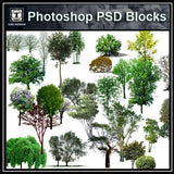 Photoshop PSD Tree Blocks 2 - CAD Design | Download CAD Drawings | AutoCAD Blocks | AutoCAD Symbols | CAD Drawings | Architecture Details│Landscape Details | See more about AutoCAD, Cad Drawing and Architecture Details