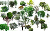 Photoshop PSD Tree Blocks 2 - CAD Design | Download CAD Drawings | AutoCAD Blocks | AutoCAD Symbols | CAD Drawings | Architecture Details│Landscape Details | See more about AutoCAD, Cad Drawing and Architecture Details