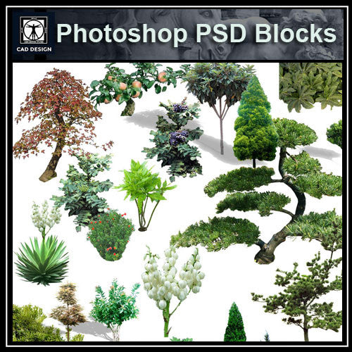 Photoshop PSD Landscape Tree 1 - CAD Design | Download CAD Drawings | AutoCAD Blocks | AutoCAD Symbols | CAD Drawings | Architecture Details│Landscape Details | See more about AutoCAD, Cad Drawing and Architecture Details