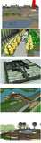 【Sketchup 3D Models】15 Types of Plaza Landscape Sketchup 3D Models  V.3 - CAD Design | Download CAD Drawings | AutoCAD Blocks | AutoCAD Symbols | CAD Drawings | Architecture Details│Landscape Details | See more about AutoCAD, Cad Drawing and Architecture Details