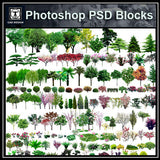 Photoshop PSD Landscape Tree 2 - CAD Design | Download CAD Drawings | AutoCAD Blocks | AutoCAD Symbols | CAD Drawings | Architecture Details│Landscape Details | See more about AutoCAD, Cad Drawing and Architecture Details