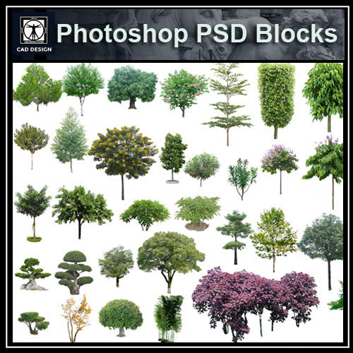 Photoshop PSD Tree Blocks 4 - CAD Design | Download CAD Drawings | AutoCAD Blocks | AutoCAD Symbols | CAD Drawings | Architecture Details│Landscape Details | See more about AutoCAD, Cad Drawing and Architecture Details
