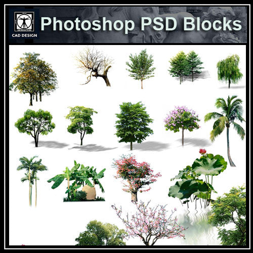 Photoshop PSD Landscape Tree 3 – CAD Design | Free CAD Blocks,Drawings ...