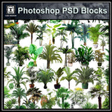 Photoshop PSD Tree Blocks 5 - CAD Design | Download CAD Drawings | AutoCAD Blocks | AutoCAD Symbols | CAD Drawings | Architecture Details│Landscape Details | See more about AutoCAD, Cad Drawing and Architecture Details