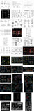 【All Architecture CAD Details Collections】  (Total 40 Best Collections) - CAD Design | Download CAD Drawings | AutoCAD Blocks | AutoCAD Symbols | CAD Drawings | Architecture Details│Landscape Details | See more about AutoCAD, Cad Drawing and Architecture Details