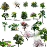 Photoshop PSD Landscape Tree 3 - CAD Design | Download CAD Drawings | AutoCAD Blocks | AutoCAD Symbols | CAD Drawings | Architecture Details│Landscape Details | See more about AutoCAD, Cad Drawing and Architecture Details