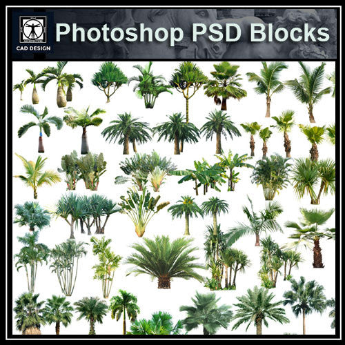 Photoshop PSD Tree Blocks 6 - CAD Design | Download CAD Drawings | AutoCAD Blocks | AutoCAD Symbols | CAD Drawings | Architecture Details│Landscape Details | See more about AutoCAD, Cad Drawing and Architecture Details