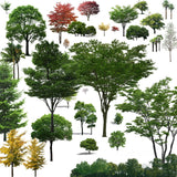 Photoshop PSD Landscape Tree 5 - CAD Design | Download CAD Drawings | AutoCAD Blocks | AutoCAD Symbols | CAD Drawings | Architecture Details│Landscape Details | See more about AutoCAD, Cad Drawing and Architecture Details