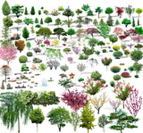 Photoshop PSD Landscape Tree 6 - CAD Design | Download CAD Drawings | AutoCAD Blocks | AutoCAD Symbols | CAD Drawings | Architecture Details│Landscape Details | See more about AutoCAD, Cad Drawing and Architecture Details