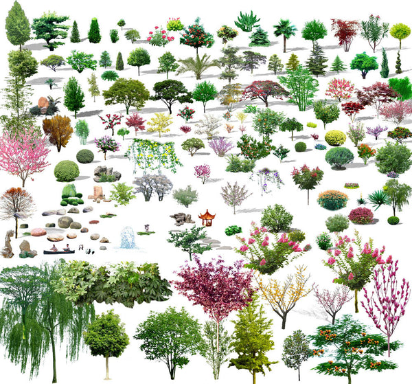 6 Tree Photoshop Psd Images Psd Tree Free Download Photoshop Trees