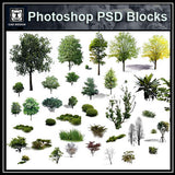 Photoshop PSD Landscape Tree 8 - CAD Design | Download CAD Drawings | AutoCAD Blocks | AutoCAD Symbols | CAD Drawings | Architecture Details│Landscape Details | See more about AutoCAD, Cad Drawing and Architecture Details
