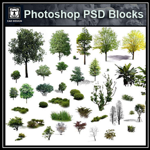 Photoshop PSD Landscape Tree 8 - CAD Design | Download CAD Drawings | AutoCAD Blocks | AutoCAD Symbols | CAD Drawings | Architecture Details│Landscape Details | See more about AutoCAD, Cad Drawing and Architecture Details