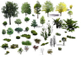 Photoshop PSD Landscape Tree 8 - CAD Design | Download CAD Drawings | AutoCAD Blocks | AutoCAD Symbols | CAD Drawings | Architecture Details│Landscape Details | See more about AutoCAD, Cad Drawing and Architecture Details