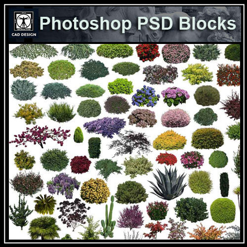 Photoshop PSD Landscape Tree 9 - CAD Design | Download CAD Drawings | AutoCAD Blocks | AutoCAD Symbols | CAD Drawings | Architecture Details│Landscape Details | See more about AutoCAD, Cad Drawing and Architecture Details