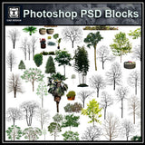 Photoshop PSD Landscape Tree 10 - CAD Design | Download CAD Drawings | AutoCAD Blocks | AutoCAD Symbols | CAD Drawings | Architecture Details│Landscape Details | See more about AutoCAD, Cad Drawing and Architecture Details