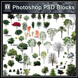 Photoshop PSD Landscape Tree 11 - CAD Design | Download CAD Drawings | AutoCAD Blocks | AutoCAD Symbols | CAD Drawings | Architecture Details│Landscape Details | See more about AutoCAD, Cad Drawing and Architecture Details