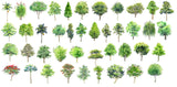 Hand-painted PSD Tree Blocks 3 - CAD Design | Download CAD Drawings | AutoCAD Blocks | AutoCAD Symbols | CAD Drawings | Architecture Details│Landscape Details | See more about AutoCAD, Cad Drawing and Architecture Details