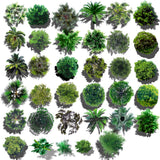 Photoshop PSD Landscape Tree Blocks 4 - CAD Design | Download CAD Drawings | AutoCAD Blocks | AutoCAD Symbols | CAD Drawings | Architecture Details│Landscape Details | See more about AutoCAD, Cad Drawing and Architecture Details