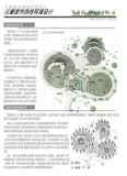 ★Architectural Competition Portfolio V21 (Free Downloadable) - CAD Design | Download CAD Drawings | AutoCAD Blocks | AutoCAD Symbols | CAD Drawings | Architecture Details│Landscape Details | See more about AutoCAD, Cad Drawing and Architecture Details