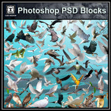 Free Photoshop PSD Bird Blocks - CAD Design | Download CAD Drawings | AutoCAD Blocks | AutoCAD Symbols | CAD Drawings | Architecture Details│Landscape Details | See more about AutoCAD, Cad Drawing and Architecture Details