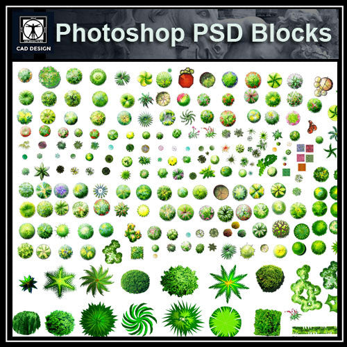 Photoshop PSD Landscape Tree Blocks 2 - CAD Design | Download CAD Drawings | AutoCAD Blocks | AutoCAD Symbols | CAD Drawings | Architecture Details│Landscape Details | See more about AutoCAD, Cad Drawing and Architecture Details