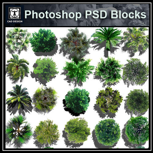 Photoshop PSD Landscape Tree Blocks 4 - CAD Design | Download CAD Drawings | AutoCAD Blocks | AutoCAD Symbols | CAD Drawings | Architecture Details│Landscape Details | See more about AutoCAD, Cad Drawing and Architecture Details