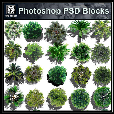 ●Landscape Design Idea