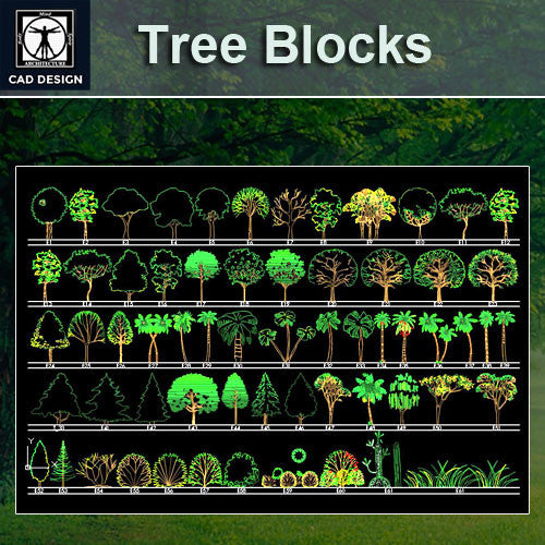 Autocad Tree Drawings