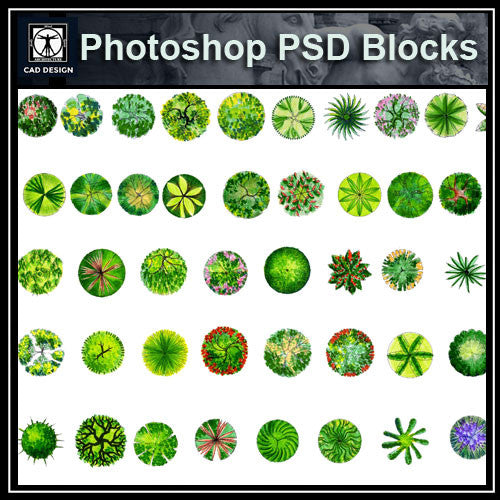 Photoshop PSD Landscape Tree Blocks 1 - CAD Design | Download CAD Drawings | AutoCAD Blocks | AutoCAD Symbols | CAD Drawings | Architecture Details│Landscape Details | See more about AutoCAD, Cad Drawing and Architecture Details