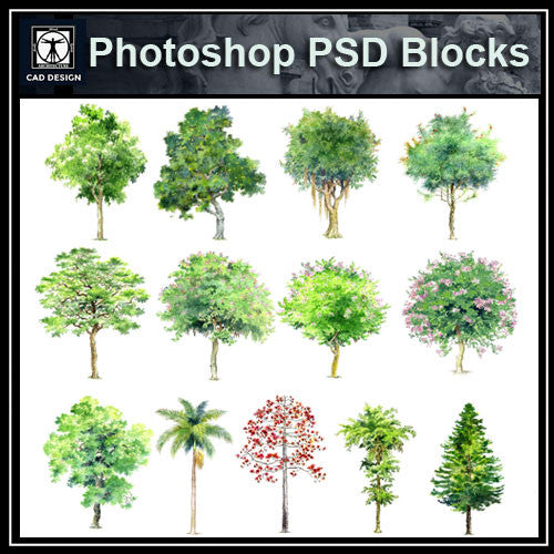Hand-painted PSD Tree Blocks 1 - CAD Design | Download CAD Drawings | AutoCAD Blocks | AutoCAD Symbols | CAD Drawings | Architecture Details│Landscape Details | See more about AutoCAD, Cad Drawing and Architecture Details