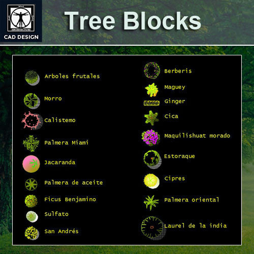Free Tree Color Blocks – CAD Design | Free CAD Blocks,Drawings,Details