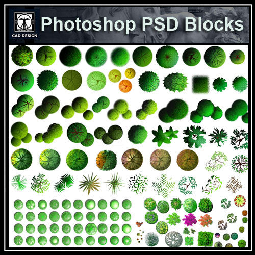 Photoshop PSD Landscape Tree Blocks 5 - CAD Design | Download CAD Drawings | AutoCAD Blocks | AutoCAD Symbols | CAD Drawings | Architecture Details│Landscape Details | See more about AutoCAD, Cad Drawing and Architecture Details