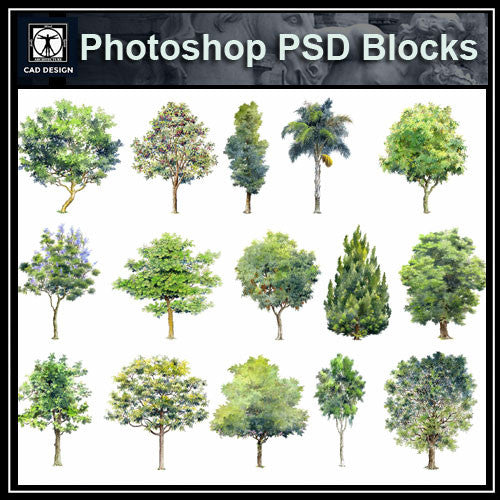 Hand-painted PSD Tree Blocks 2 - CAD Design | Download CAD Drawings | AutoCAD Blocks | AutoCAD Symbols | CAD Drawings | Architecture Details│Landscape Details | See more about AutoCAD, Cad Drawing and Architecture Details