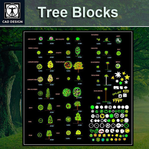 Tree blocks and elevation Set 2 - CAD Design | Download CAD Drawings | AutoCAD Blocks | AutoCAD Symbols | CAD Drawings | Architecture Details│Landscape Details | See more about AutoCAD, Cad Drawing and Architecture Details