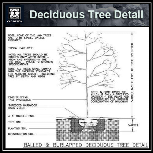 Tree Design Document Tree Protection Cad Detail