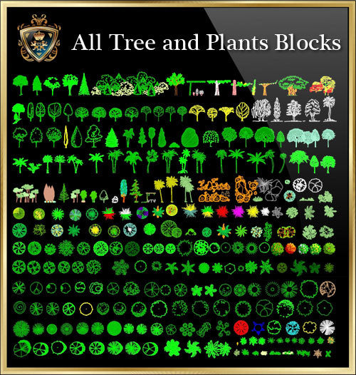 Tree and Plants CAD Blocks Collection - CAD Design | Download CAD Drawings | AutoCAD Blocks | AutoCAD Symbols | CAD Drawings | Architecture Details│Landscape Details | See more about AutoCAD, Cad Drawing and Architecture Details